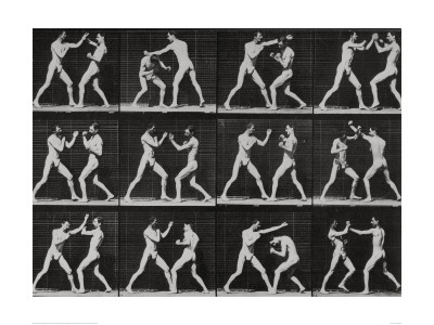 Phases In A Boxing Match by Eadweard Muybridge Pricing Limited Edition Print image