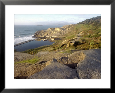 Point Lobos, Sutro Banks by David Wasserman Pricing Limited Edition Print image