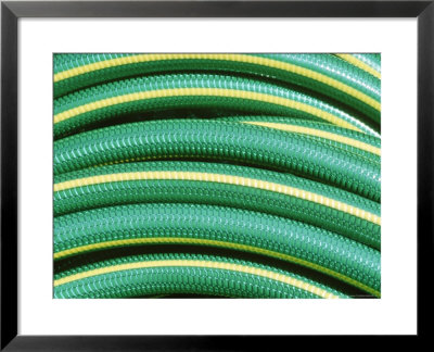Green Hosepipe by Chris Burrows Pricing Limited Edition Print image