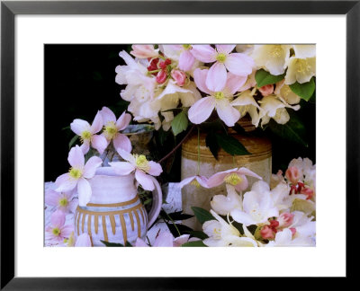 Rhododendron Yak Hybrid Golden Torch And Pink Clematis Montana (Travellers Joy) by James Guilliam Pricing Limited Edition Print image