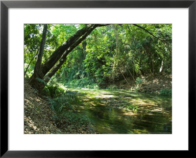 Guinguette Source In Kou Tropical Forest, Burkina Faso by Emanuele Biggi Pricing Limited Edition Print image
