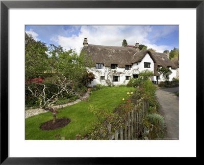 Quaint Devon Cottage, Devon, Uk by David Clapp Pricing Limited Edition Print image