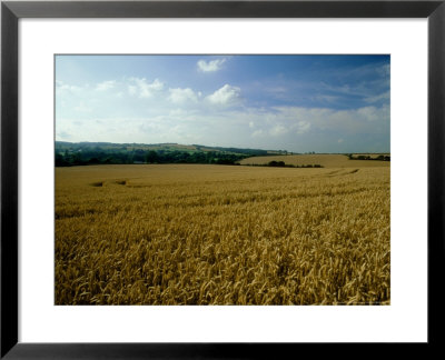 Wheat Field In Autumn by Mike England Pricing Limited Edition Print image