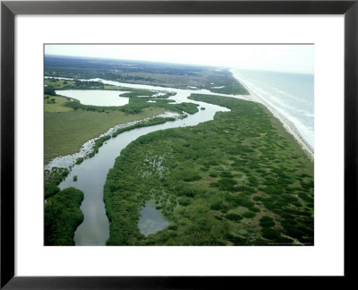 Rancho Nuevo Beach Sea Turtle Sanctuary, Mexico by Patricio Robles Gil Pricing Limited Edition Print image