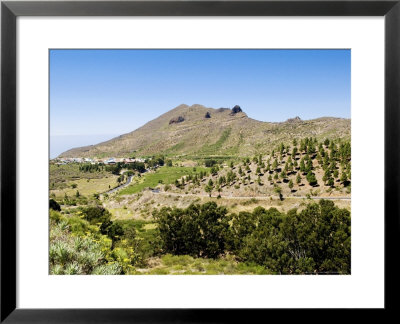 Santiago Del Teide, Tenerife, Location Of The Last Volcanic Eruption On Tenerife In 1909 by Martin Page Pricing Limited Edition Print image