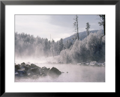 Colorado River, Usa by Mary Plage Pricing Limited Edition Print image