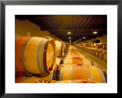 Cellars Of Chateau Lynch Bages, Pauillac, Aquitaine, France by Michael Busselle Pricing Limited Edition Print image