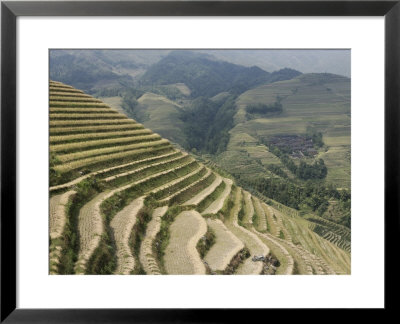 Longsheng Terraced Ricefields, Guilin, Guangxi Province, China by Angelo Cavalli Pricing Limited Edition Print image