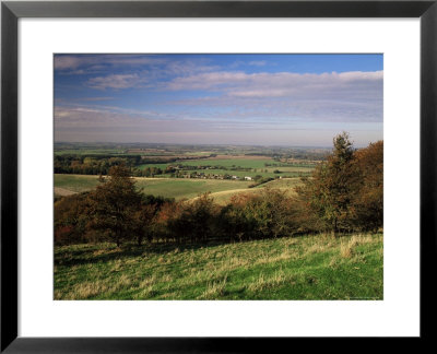 View From The Pegston Hills, Of Hertfordshire And Bedfordshire, Uk by David Hughes Pricing Limited Edition Print image