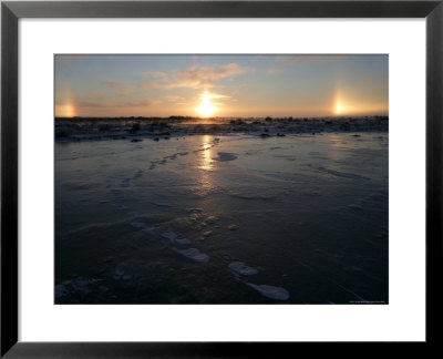 Sun Dogs, Polar Bear Tracks, Churchill, Hudson Bay, Manitoba, Canada by Thorsten Milse Pricing Limited Edition Print image