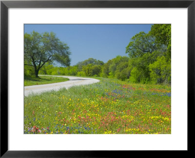 Curve In Roadway With Wildflowers Near Gonzales, Texas, Usa by Darrell Gulin Pricing Limited Edition Print image
