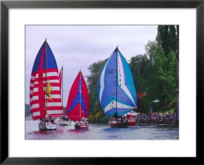 Sailboats With Spinakers In The Opening Day Parade Of Boating Season, Seattle, Washington, Usa by Charles Sleicher Pricing Limited Edition Print image