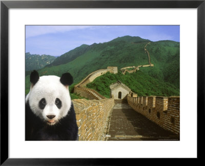 Panda At The Great Wall Of China by Bill Bachmann Pricing Limited Edition Print image