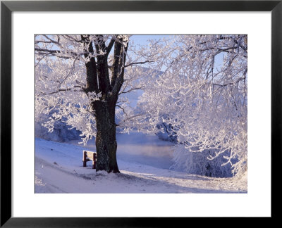 Winter Scene Beside The River Tay, Aberfeldy, Perthshire, Scotaland, Uk by Kathy Collins Pricing Limited Edition Print image