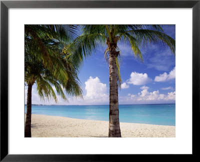 Palm Trees, Beach And Still Turquoise Sea, Seven Mile Beach, Cayman Islands, West Indies by Ruth Tomlinson Pricing Limited Edition Print image