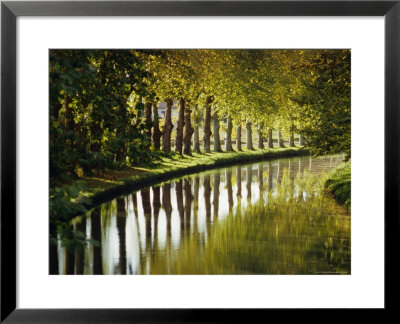 The Bank Of The Hure, Canal Lateral A La Garonne, Gironde, Aquitaine, France, Europe by J P De Manne Pricing Limited Edition Print image