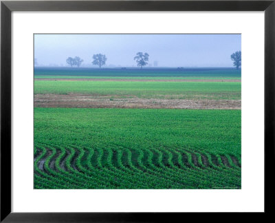 Spring Plowed Field Of Crops by Gayle Harper Pricing Limited Edition Print image