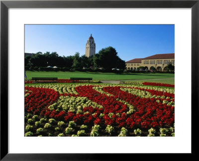 Gardens At Stanford University, Palo Alto, Usa by John Elk Iii Pricing Limited Edition Print image