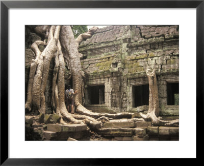 Temples Of Angkor, Ta Prohm, Siem Reap, Cambodia, Overtaken By Trees by Richard Nowitz Pricing Limited Edition Print image