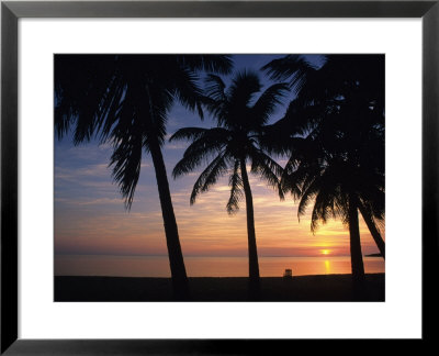 Sun Rise Near Placencia, Belize by Bill Hatcher Pricing Limited Edition Print image