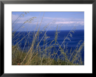 View Of The Sea Through Grasses Atop A Hill by Marcia Kebbon Pricing Limited Edition Print image