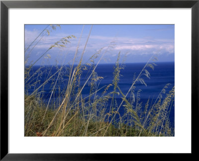 View Of The Sea Through Grasses Atop A Hill by Marcia Kebbon Pricing Limited Edition Print image