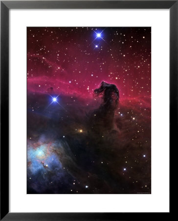 The Horsehead Nebula by Stocktrek Images Pricing Limited Edition Print image