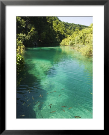 Small Fish In Turquoise Lake, Plitvice Lakes National Park, Unesco World Heritage Site, Croatia by Christian Kober Pricing Limited Edition Print image