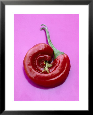 Chili Pepper, Round by Marc O. Finley Pricing Limited Edition Print image