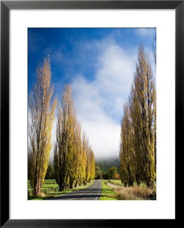 Autumn Colour And Wanganui, Raetihi Road, Near Wanganui, North Island, New Zealand by David Wall Pricing Limited Edition Print image