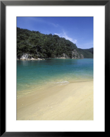 Beach In Torrent Bay, Abel Tasman National Park by Rich Reid Pricing Limited Edition Print image