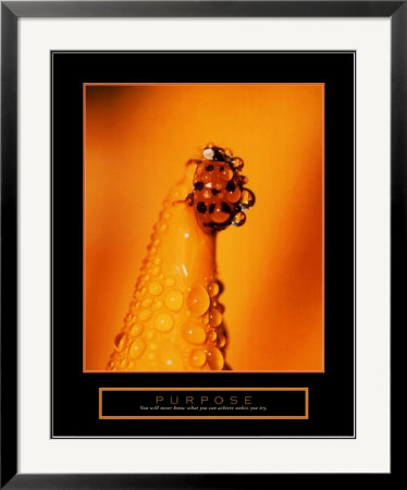 Purpose - Ladybug by Craig Tuttle Pricing Limited Edition Print image