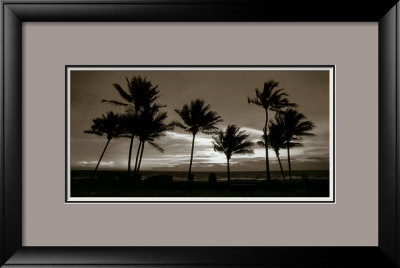 Sunrise Palms by Harold Silverman Pricing Limited Edition Print image