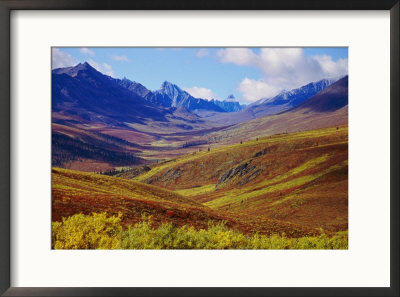 A Scenic View Of The Tombstone Mountains by Paul Nicklen Pricing Limited Edition Print image