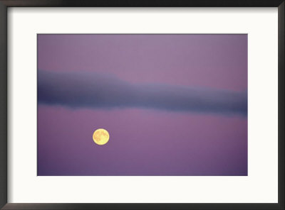 A Twilight View Of The Full Moon Over The Canadian Arctic by Norbert Rosing Pricing Limited Edition Print image