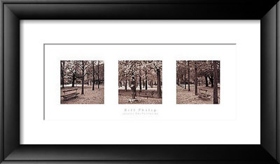 Jardins Des Tuileries by Bill Philip Pricing Limited Edition Print image