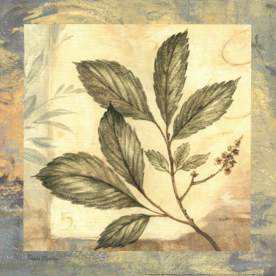 Leaf Botanicals Iii by Pamela Gladding Pricing Limited Edition Print image