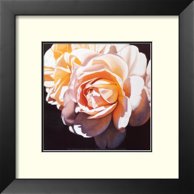 White Rose by Jennifer Harmes Pricing Limited Edition Print image