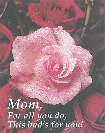 Mom, For All You Do by Bruce Curtis Pricing Limited Edition Print image