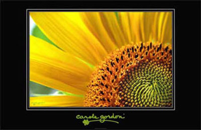 Sunburst by Carole Gordon Pricing Limited Edition Print image