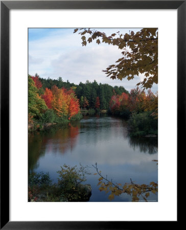 Trees With Fall Foliage Along Lake by Karl Neumann Pricing Limited Edition Print image
