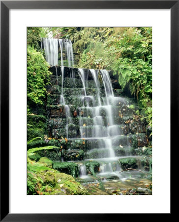 Tiered Waterfall, Moss, Lichen, Ferns by Ron Evans Pricing Limited Edition Print image