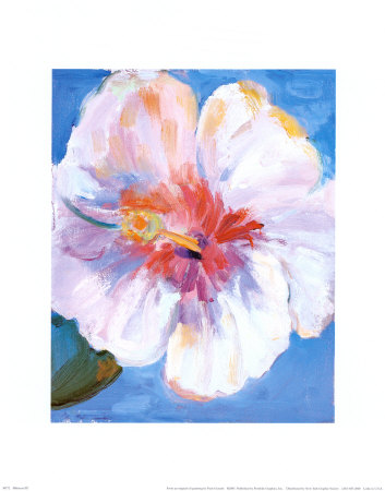 Hibiscus Iii by Paris Gerrard Pricing Limited Edition Print image