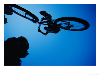 A Mountain Biker Careens In The Air And The Photographer Captures This Dynamic Image From Beneath by Barry Tessman Pricing Limited Edition Print image