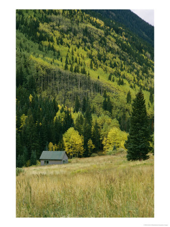 Fall-Colored Aspen Trees And An Old Cabin At The Foot Of A Mountain by Gordon Wiltsie Pricing Limited Edition Print image