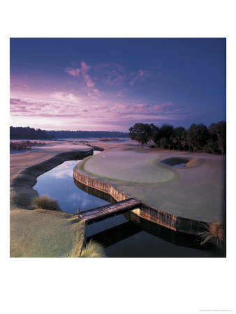 Innisbrook Lavender, Golf Course by Chip Henderson Pricing Limited Edition Print image