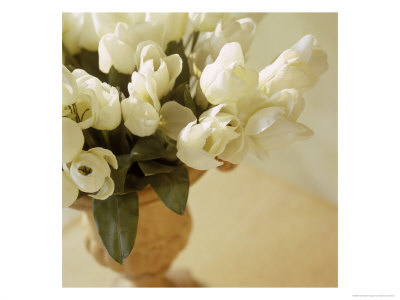 White Tulips In Vase by Fabrizio Cacciatore Pricing Limited Edition Print image