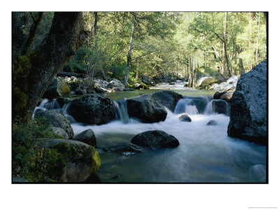 Woodland View Of A Small Creek Flowing Over Boulders by Marc Moritsch Pricing Limited Edition Print image
