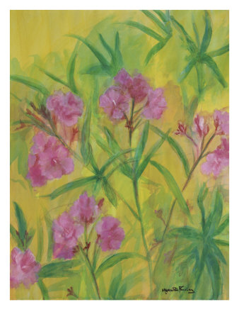 Oleanders by Hyacinth Manning-Carner Pricing Limited Edition Print image