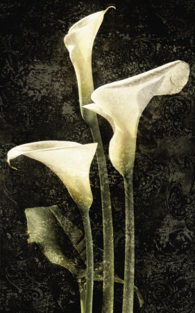 Callas Ii by John Seba Pricing Limited Edition Print image